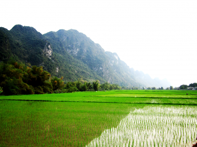 Triền núi đá Chợ Chu với vẻ đẹp kỳ vĩ, thơ mộng. Ảnh: Thế Lượng.
