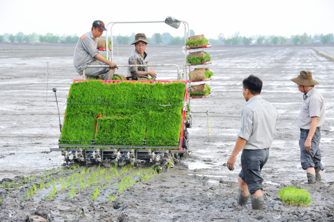 watermark_xuong-giong-lua-dong-xuan-o-dbscl-anh-le-hoang-vu-1-1124_20210815_77.jpg Nông dân An Giang đang tập trung xuống giống lúa thu đông 2021. Ảnh: Lê Hoàng Vũ.