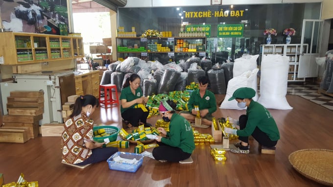 Nơi chế biến, đóng gói chè luôn được các HTX và cơ sở sản xuất chè tại Thái Nguyên quan tâm, sạch, mát. Ảnh: ĐVT.
