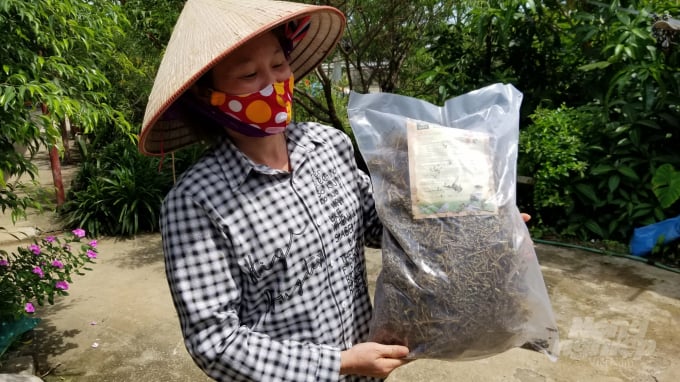 watermark_ca-2-1206_20210824_570.jpg Trà cà gai leo dạng băm nhỏ. Ảnh: Dương Đình Tường.