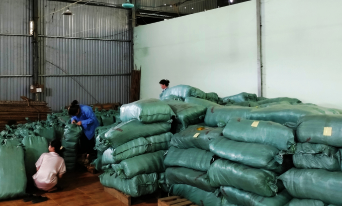 Sản phẩm miến dong đã được đóng bao của Cơ sở miến dong Nhất Thiện (huyện Ba Bể). Ảnh: Đồng Thưởng.