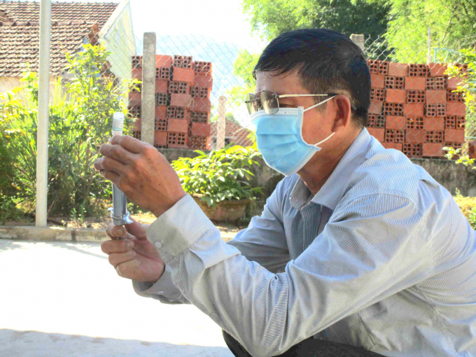 2-1343_20210905_392.jpg Hiện đã có 89% trong tổng đàn trâu, bò ở Bình Định đã được ngành chức năng tiêm phòng. Ảnh: V.Đ