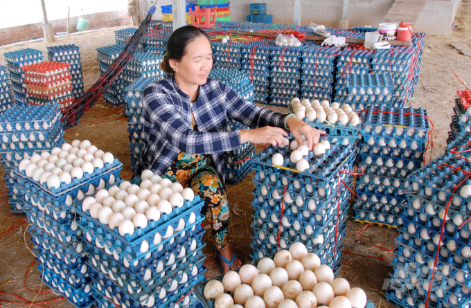 watermark_anh-3--nuoi-vit-de-an-toan-sinh-hoc-1149_20210908_880.jpg Công tác tổ chức thu hoạch nông sản, Sở NN-PTNT Đồng Tháp hướng dẫn cụ thể đối với thu hoạch tại vùng nguyên liệu do địa phương, HTX, tổ hợp tác, người dân tổ chức thu hoạch. Ảnh: Lê Hoàng Vũ.