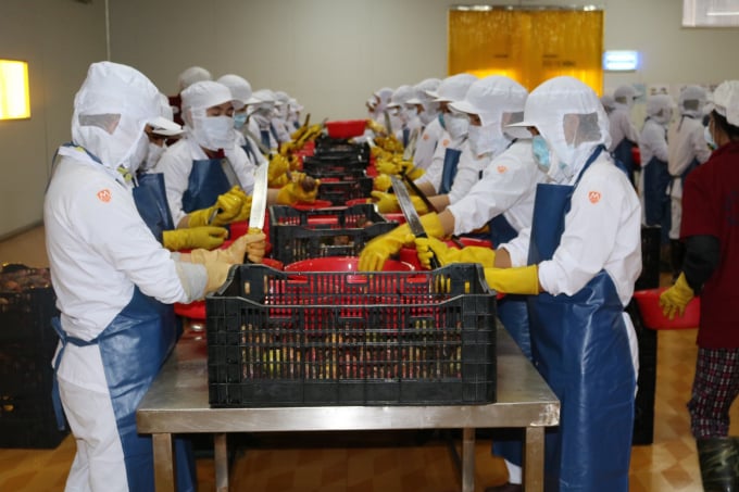 Công ty Kim Minh International duy trì và khôi phục sản xuất. Ảnh: Ng.Thủy.