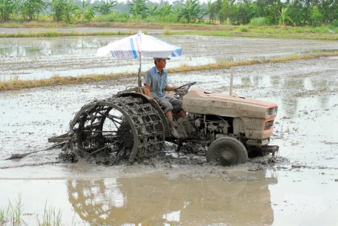 watermark_anh-1-1036_20210913_117.jpg Mô hình trồng lúa rải vụ được Tập đoàn Lộc Trời triển khai tại An Giang. Ảnh: Lê Hoàng Vũ.