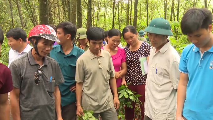 2-1813_20210904_848.jpg 03 xã Cao Kỳ, Nông Hạ, Hòa Mục (huyện Chợ Mới) triển khai mô hình thí điểm Quản lý rừng bền vững và Chứng chỉ rừng (FSC) với 322 hộ gia đình/cá nhân tham gia. Ảnh: Đồng Thưởng.
