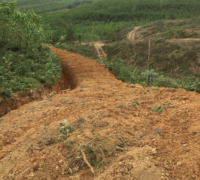 Con hào ông Thụy đào ngăn cách diện tích rừng của ông với bên ngoài để ngăn chặn bò vào dẫm chết cây rừng mới trồng. Ảnh: Vũ Đình Thung.