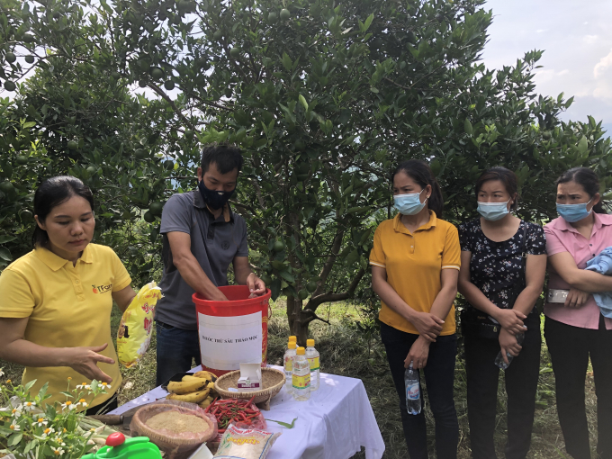 16501283img-1407-165012.jpg Hiện nay, Hòa Bình đang nỗ lực lan tỏa những giải pháp canh tác bền vững, hướng hữu cơ cho cây có múi, nhưng điều đó sẽ cần thời gian, sự kiên trì, và cả quyết tâm. Ảnh: Thanh Hằng.