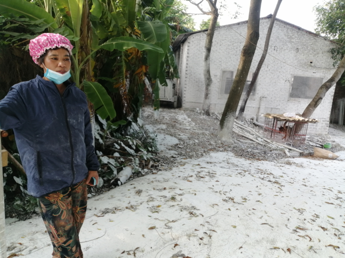 Chị Vũ Thị Oanh ở thôn Chu Quyến 1, xã Chu Minh (Ba Vì), đang đứng ngồi không yên khi đàn lợn 200 con có nguy cơ mất trắng do DTLCP. Ảnh: Trung Quân.
