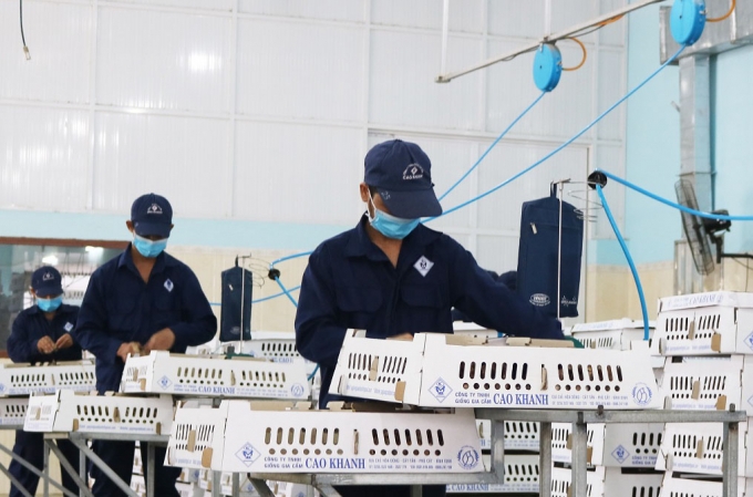 The AHAV proposed to the Government to have a package of policies to support production recovery after the pandemic. Photo: VDT.