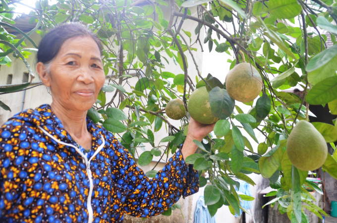 Thanh trà Thượng Phước thường được tiêu thụ mạnh vào dịp lễ, Tết, ngày rằm. Ảnh: Công Điền.