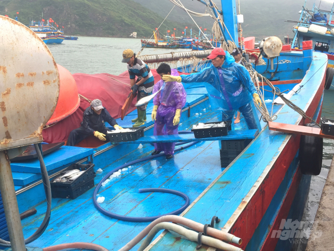 Bây giờ, mỗi khi nhìn cảnh tàu cá hoạt động, ông Rõ thấy đau thắt trong ruột vì nhớ nghề. Ảnh: Vũ Đình Thung.