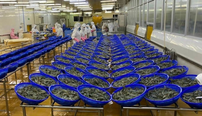 Tỉnh Bạc Liêu phấn đấu kim ngạch xuất khẩu thủy sản năm 2021 đạt 850 triệu USD. Ảnh: TL.