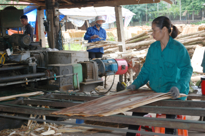 a4-2-1707_20211025_822.jpg Sản xuất ván bóc tại địa bàn huyện Trấn Yên đang hết sức èo uột do nguyên liệu tăng cao, tiêu thụ sản phẩm lại rất khó khăn. Ảnh: Nguyễn Tuấn Anh.