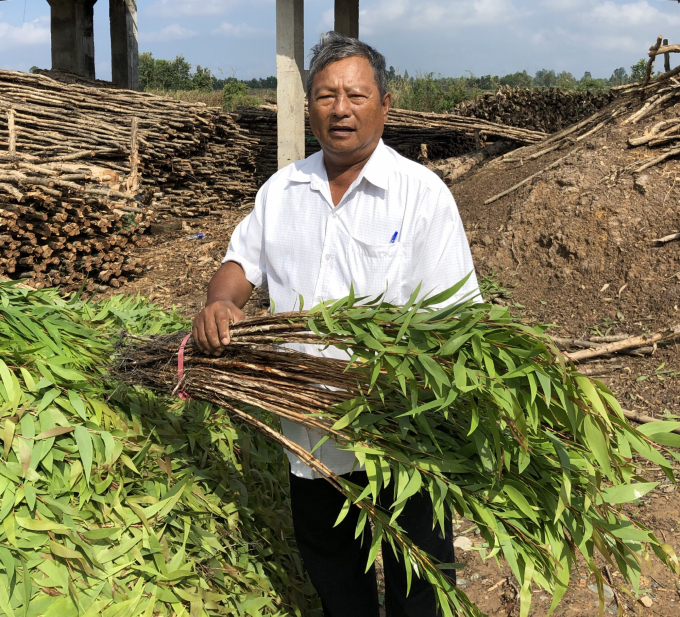 Ông Huỳnh Tư sở hữu 100ha tràm, mỗi năm cầm chắc 10 tỷ đồng. Ảnh: H.N.