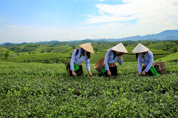 Giai đoạn 2021 - 2030, Bộ NN-PTNT hoàn thành việc sắp xếp 532 cơ sở nhà, đất đối với các cơ quan hành chính sự nghiệp, các doanh nghiệp trực thuộc Bộ. Ảnh: MP.