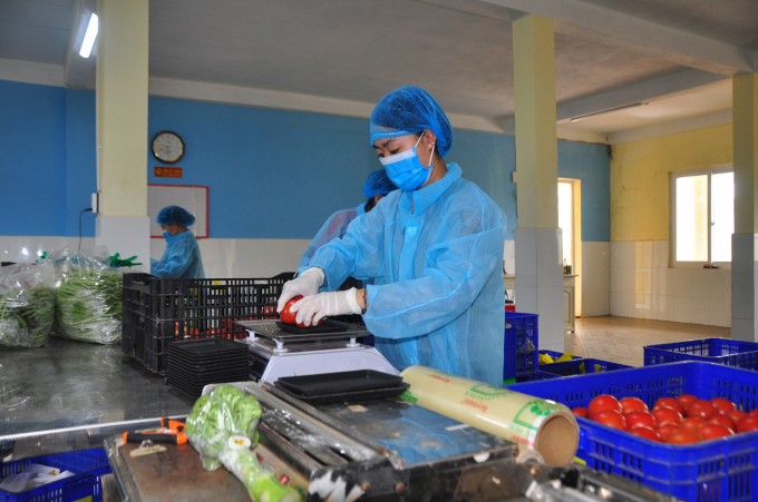 anh-3-1-1602_20211108_144.jpg Sau dịch bệnh, thị trường dần ổn định trở lại, nhiều nông sản tăng giá nên người trồng rau, hoa ở Lâm Đồng phấn khởi. Ảnh: Minh Hậu.