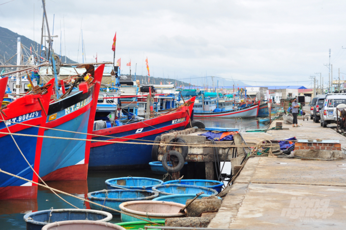 watermark_dsc_1429-1203_20211119_99.jpg Khu Cảng cá Cà Ná (huyện Thuận Nam, Ninh Thuận), một trong những cảng cá trọng tâm của tỉnh Ninh Thuận. Ảnh: Minh Hậu.