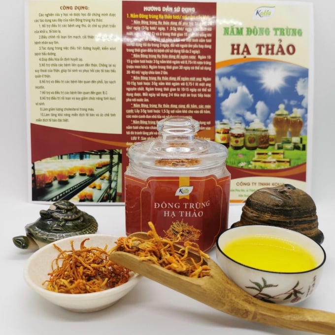 Sản phẩm đông trùng hạ thảo được Công ty TNHH Kolia sản xuất có chất lượng đạt tiêu chuẩn cao. Ảnh: T.L.