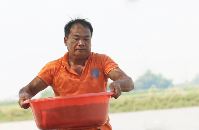 ruoi-mat-mua-duoc-gia-1527_20211122_619.jpg Mỗi chậu rươi khoảng 20 kg có giá trị trên dưới 10 triệu đồng. Ảnh: Đinh Mười.