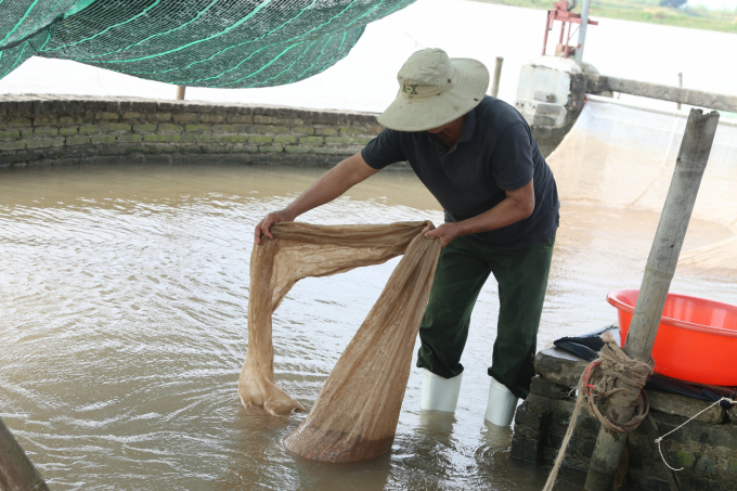 ruoi-mat-mua-duoc-gia-1528_20211122_270.jpg Sự thay đổi của môi trường tự nhiên, nhất là ô nhiễm nguồn nước khiến sản lượng rươi ngày càng tụt giảm, bấp bênh. Ảnh: Đinh Mười.