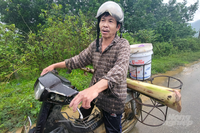 Ông Trần Oánh than phiền vì đất cấp tái định cư cằn cỗi, trồng cây không phát triển. Ảnh: VD.