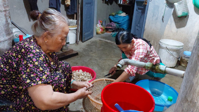 Nấm mối một năm xuất hiện một lần nên ai đi chợ cũng ghé mua, nấm búp 250.000 đồng/kg. Ảnh: MHN.