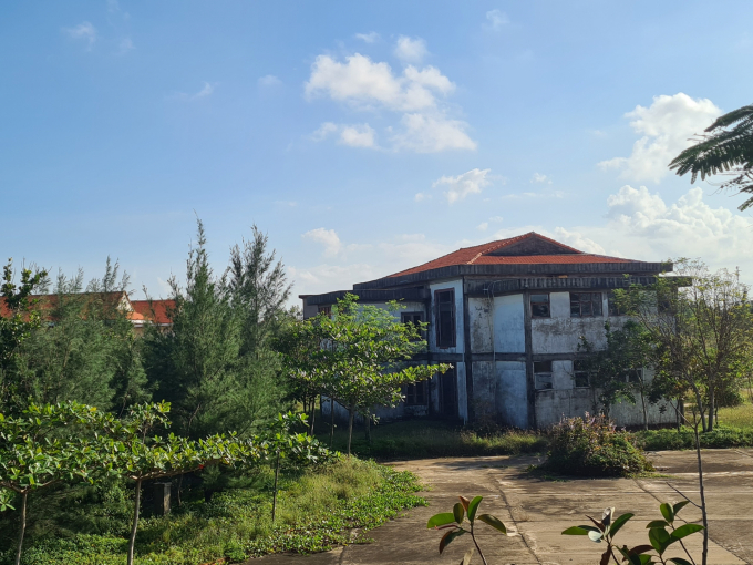 Qua 1 thời gian dài không hoạt động, một số khu nhà thuộc dự án đã bám đầu rêu mốc. Ảnh: L.K.
