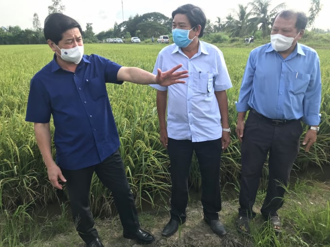 Thứ trưởng Bộ NN-PTNT Lê Quốc Doanh chỉ đạo các địa phương tranh xuống giống dứt điểm vụ đông xuân trong tháng 12/2021. Ảnh: Minh Đảm.
