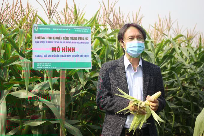 Vuong Huy Minh, Deputy Director of the Maize Research Institute, annouces the results obtained in the model. Photo: Trung Quan.