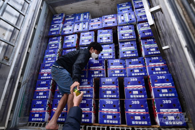Ùn tắc dài ngày nên các xe container lạnh phải xả cửa, kiểm tra hàng hóa mỗi ngày. Muốn kiểm tra, tài xế phải cầm đèn pin, chui vào các khe hở của thùng hàng để chui vào sâu bên trong container. Ảnh: Tùng Đinh.