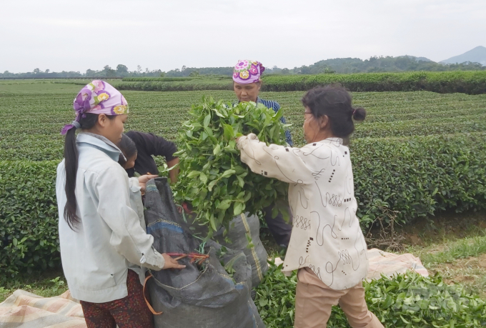 watermark_20191031_140926-1329_20211226_866.jpg Sau khi phát hành, chỉ 384.450 cổ phần được bán cho người lao động, tương đương trên 2 tỷ 300 triệu đồng. Ảnh: Việt Khánh.
