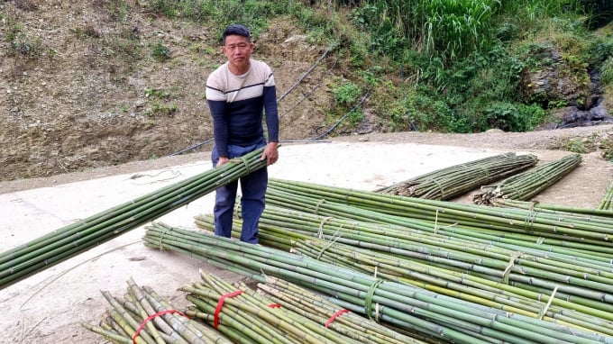 45c278305923937dca32-0951_20211221_847.jpg Người dân bán mỗi xe tải trúc sào loại 4 - 5 tấn sẽ thu về khoảng 5 triệu đồng. Ảnh: Công Hải.