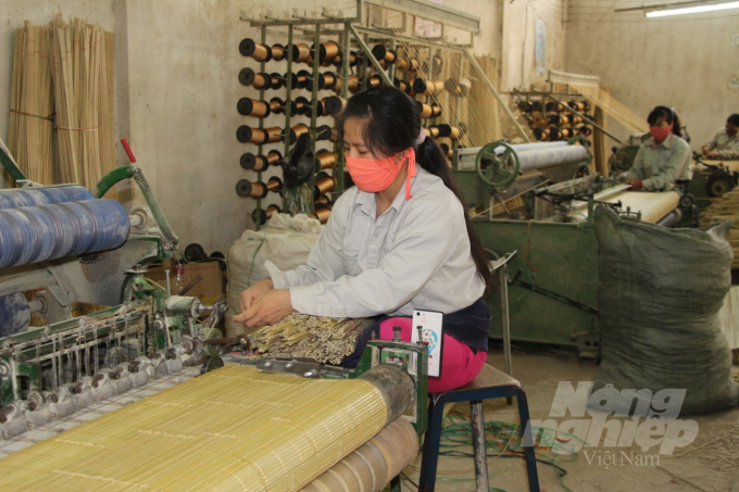 watermark_6b15a81c100fda51831e-0954_20211221_581.jpg Những chiếc chiếu trúc bền, đẹp được sản xuất từ cây trúc sào. Ảnh: Công Hải.