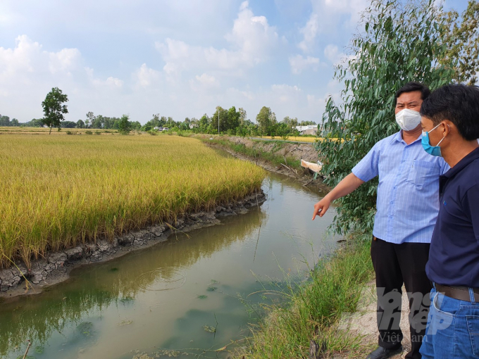watermark_z3095757955322_a6e662e1b0feee923c70a70d9acfe114-1034_20220111_436.jpg Vụ lúa trên đất tôm năm 2021, nông dân Thị xã Giá Rai trúng mùa, được giá. Ảnh: Trọng Linh.