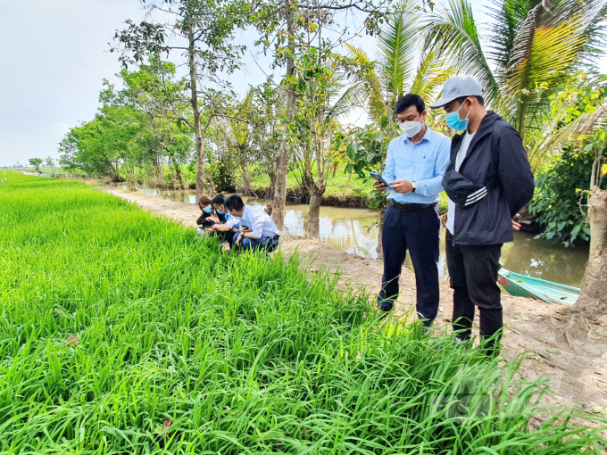 thi-diem-trien-khai-phan-mem-nhan-dien-sinh-vat-gay-hai-tren-lua-1625_20220112_157.jpg Cục BVTV phối hợp với Sở NN-PTNT An Giang triển khai ứng dụng 'Nhận diện sinh vật gây hại lúa' thực tế trên đồng ruộng tại 2 huyện Châu Thành và Châu Phú (An Giang) để nông dân trải nghiệm. Ảnh: Lê Hoàng Vũ.