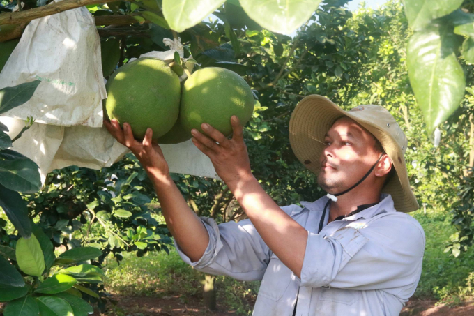 Anh Hà Tấn Hùng, nhân viên kỹ thuật nông nghiệp Unifarm: 'Chúng tôi vẫn làm việc '3 tại chỗ' trong thời gian giãn cách, nhưng tuân thủ đúng các quy định công ty đặt ra, nên tất cả mọi người đều bình an'. Ảnh: Phúc Lập.