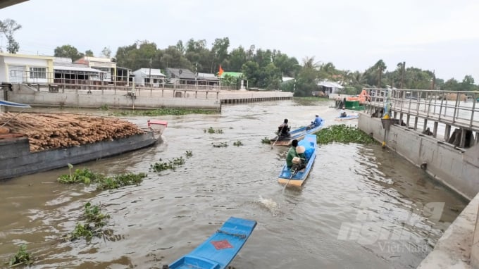 Công trình cống ấu thuyền Ninh Quới, điều tiết mặn, ngọt phát huy hiệu quả sau khi được đưa vào vận hành trong 2 năm qua. Ảnh: Trọng Linh.