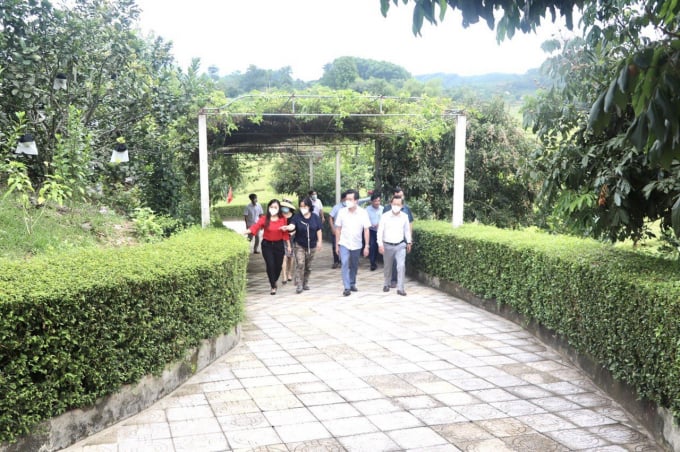 z3122491263141_1dcb311a61488fe11ea626ea48028c47-0013_20220120_345.jpg Bộ mặt nông thôn của huyện Vũ Quang ngày càng khang trang, sạch đẹp. Ảnh: Xuân Hoàn.