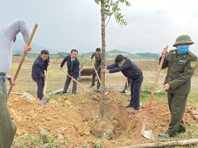 15582810phuong-hong-ha-hong-linh-155828.jpg Cây xanh được trồng tại phường Hồng Hà, Thị xã Hồng Lĩnh. Ảnh: Nguyễn Hoàn.