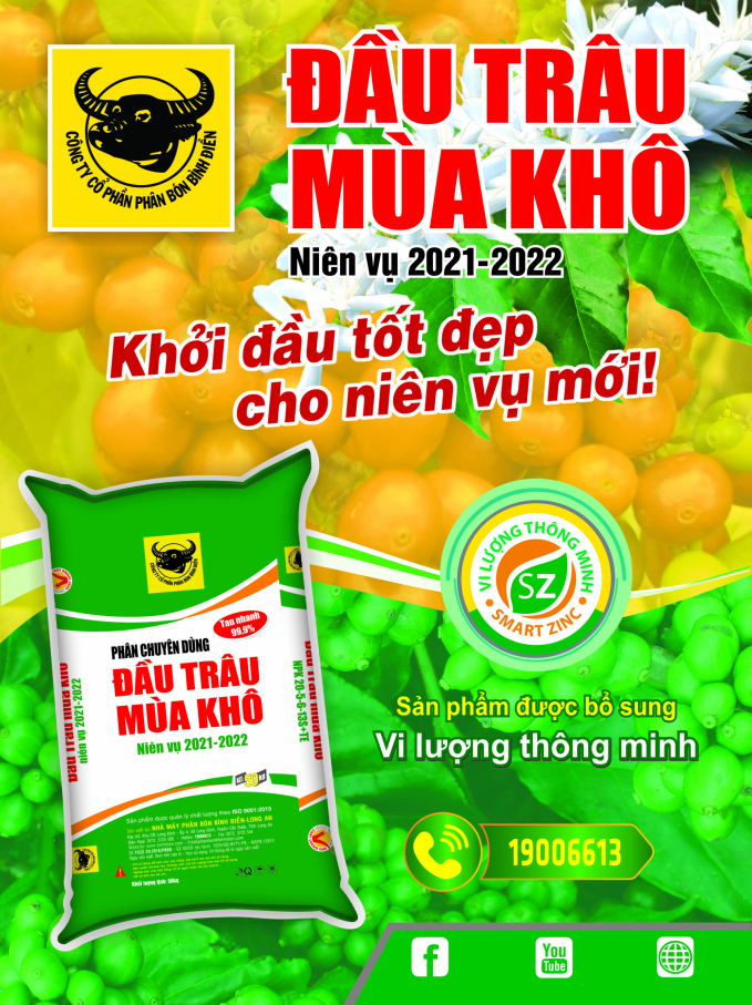 poster-mua-kho-2021-2022-60x80cm-0805_20220217_624.jpg Bón Phân bón Đầu Trâu cho cà phê mùa khô đem lại hiệu qủa rất cao. Ảnh: Tuấn Nam.