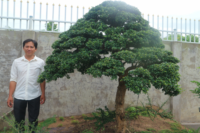 Anh Trần Hiếu Nhân bên cây bùm sụm trị giá 2 tỷ đồng. Ảnh: Thành Hiệp.