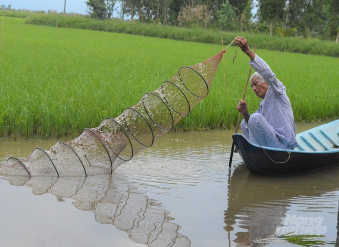 Canh tác lúa - tôm đã thực sự tạo 'cuộc cách mạng' cho sản xuất ở ĐBSCL nói chung và Bến Tre nói riêng. Ảnh: TL.