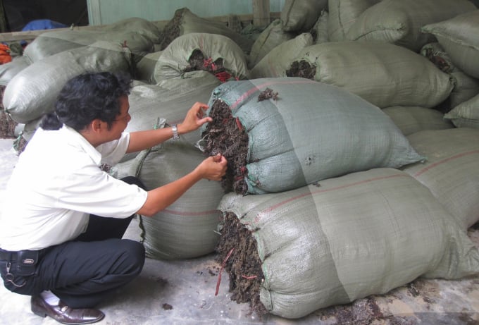 4-1521_20220221_915.jpg Rong khô được bán cho thương lái ngay khi phơi khô nên đã mang lại nguồn thu cho ngư dân. Ảnh: P.P.