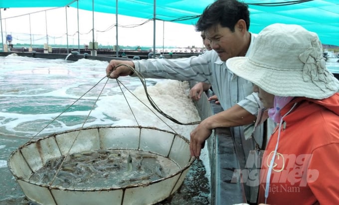 Mô hình nuôi tôm ứng dụng công nghệ cao do Trung tâm Khuyến nông Kiên Giang hỗ trợ chuyển giao tại vùng Tứ giác Long Xuyên, được nông dân nhiệt tình hưởng ứng. Ảnh: Trung Chánh.