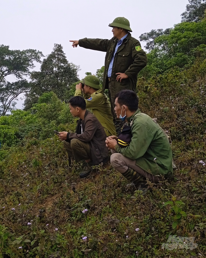 watermark_b-1441_20220228_364.jpg Kiểm tra bảo vệ rừng. Ảnh: Tư liệu.