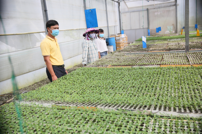 0e7a9921-0738_20220302_434.jpg Nhà kính ươm giống và ghép gốc các loại rau mầm của Ecofarm. Ảnh: Phúc Lập.