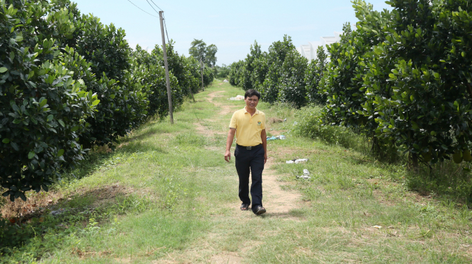 0e7a9981-0742_20220302_455.jpg Khu vực vườn mít rất đẹp ở Ecofarm. Ảnh: Phúc Lập.