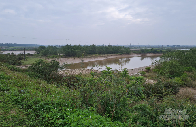 watermark_20220302_164923-0651_20220303_640.jpg Khác với những lời mời quảng bá mỹ miều, hiện trạng Dự án Khu đô thị và nhà ở xã hội của Tổng Công ty hợp tác kinh tế Việt Lào vẫn là một khoảnh đất trống, um tùm cỏ cây, lau sậy. Ảnh: Việt Khánh.