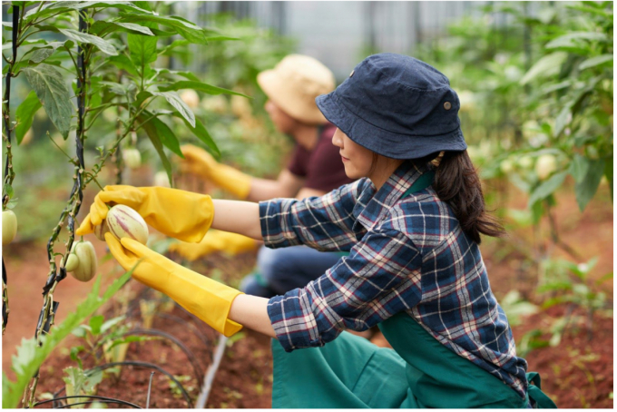'Ecological agriculture' is one of the goals of the agriculture sector, next to 'modern countryside' and 'smart farmers'.